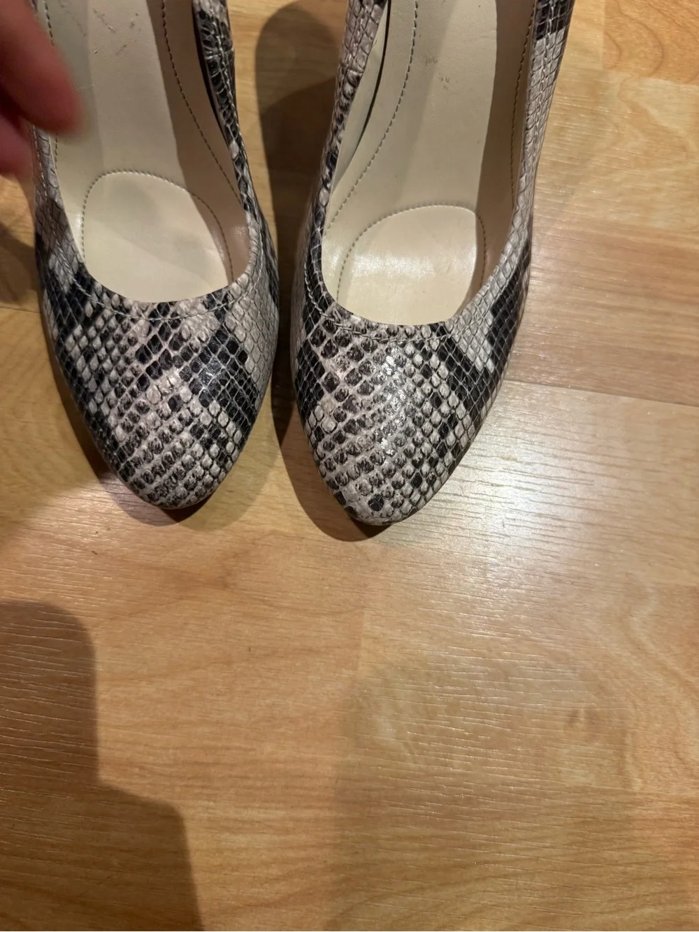 Calvin Klein Snake-Print Pointed Toe Pumps - Black & Gray size 8M